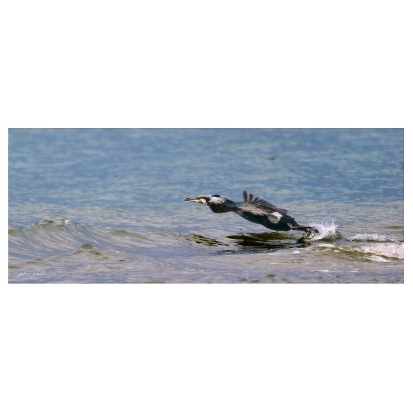 PHOTO84, CLUB, 84 , LUBERON